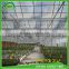 small tomato greenhouse from big greenhouse manufacturer in China