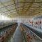 Chicken Layer Battery Cage of A Type for Farm With 3layer,4layer,5layer (Hot Galvanized/Electric Galvanized)