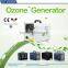 Portable Domestic Patent for Healthier Space Ozone Ceramic Generator