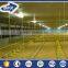 China Strong Yield Large Span Poultry House