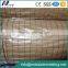 Construction Material 2x2 Electric Galvanized Welded Wire Mesh