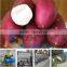 China Factory Supply Competitive Price Sweet Potato Starch Production Line