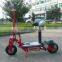 2 Wheel Stand up Electric Scooter SX-E1103-500