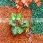 1mx1m new hotel decoration artificial fire autum red with green grass wall EDC1604 03Y07