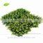 Artificial Boxwood Mats plants for sale landscaping home patio decoration DIY artificial hedge