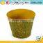 10 inch outdoor plants for pots metal flower planters