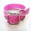 New type TPU coated Dog Collars