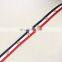Good quality polyester webbing strap with eyelet tape