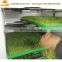 Large hydroponic fodder growing systems , Hydroponic grass growing plant for cattle