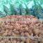 Fresh Semi husked matured Coconut,Semi Husked Coconuts suppliers