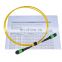 Standard Insertion lose MPO 24 Fiber G657A1 Trunk Cable Patch Cord