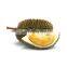 Premium Durian From The nature Of Vietnam