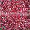 Taste So Sweet 2021 New Crop Good Tropical Fruit IQF Frozen Red Lingonberry