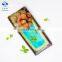(Free Facemask After Order) BRC Certified IQF Frozen longan