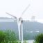 Manufacturer 1kw Commercial Wind Turbine