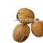 Factory outlet premium walnuts and kernels raw walnut  of low price