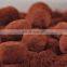 Trufas de Chocolate production line manufacturer