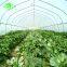 UV protection mist-resistant 3-5 layers heat keeping daylight greenhouse film