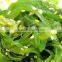 Japanese Seaweed Salad(Undaria Pinnatifida) with Sesome