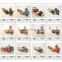 New summer sandals sexy fashion lady wedge sandals middle-aged ladies sandals shoes
