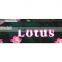 Lemon Incense stick Supplier
