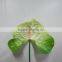 Fragrant aroma hot selling high quality flowers antirrhinums