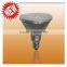 PAR38 LED Bulb
