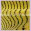 9 mm polyester paint roller fabric yellow & black zebra print fabric  china supplier
