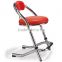 Hot Sale Modern Chromed Leg Dining Chair