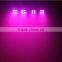 Professional Stage Light RGBW 4in1 DMX512 Disco Light with T-Bar/Carrying Bag/Stand/Footswitch
