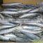 Frozen whole round scad on sale!!!!