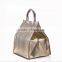 Hot Selling Portable Cake Cooler Bag with Customised Logo
