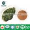 100% Natural powder EGCG green tea extract capsules