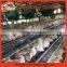 A type 4 tier chicken cages poultry layer cage broiler farm design for poultry farm