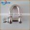 stainless steel D shackle for lifting