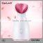 Skin Care New Home Use Electric Nano Ionic Facial Steamer ,Beauty Equipment facial steamer