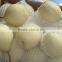 2015 fresh ya pear from China with good quality for sale
