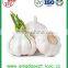 Top Quality Factory Price Fresh White Garlic