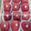 Red delicious variety and common cultivation type red delicious apple