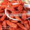 Himalayan Certified Organic Goji Berry Tibet Goji Berry