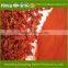 Best quality of Sweet Dried tomato/New product of pure chinese delicious dried tomato