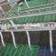 Poultry farming equipment , pig plastic slat floor for sales