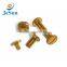 Stainless steel blind screws,blind bolt