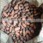 Hot Sale Cheap LECA lightweight expanded clay aggregate/ expanded pebbles