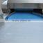 Preserved Fruit Dicer Cube Machine