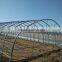 Economical plastic green house for Agricture