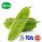 High quality Balsam pear extract/balsam pear extract powder/Balsam pear powder