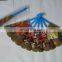 Made in China Advertising Print pp plastic seven foldable hand fan for Promotional