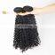Wholesale Brazilian Hair Weave Bundles Cuticle Aligned Hair Mink Brazilian Kinky Curly Grade 9A Human Hair Weave