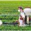 gasoline engine power agriculture mist duster sprayer pump 3WF-18AC